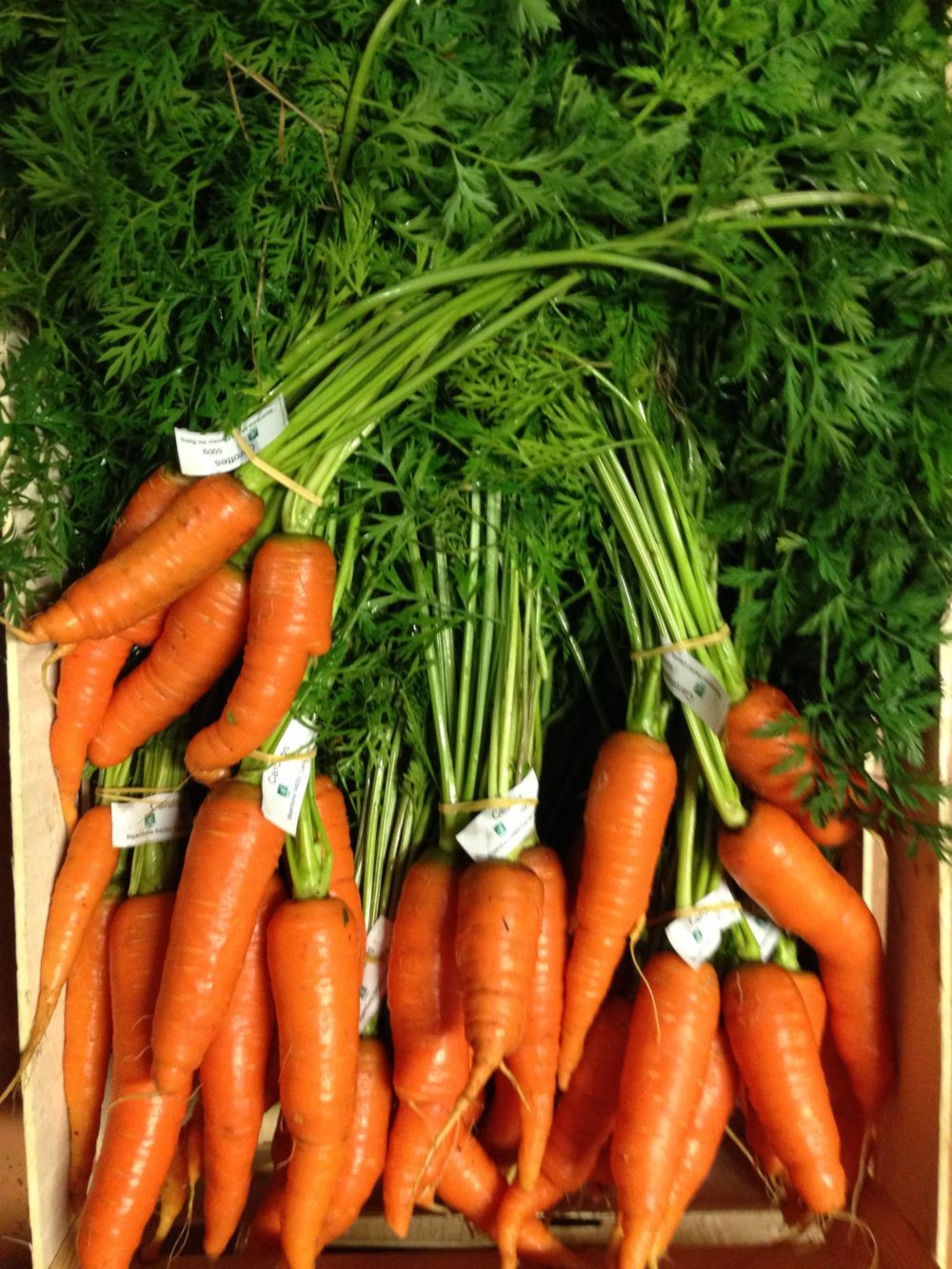 Carottes sablées