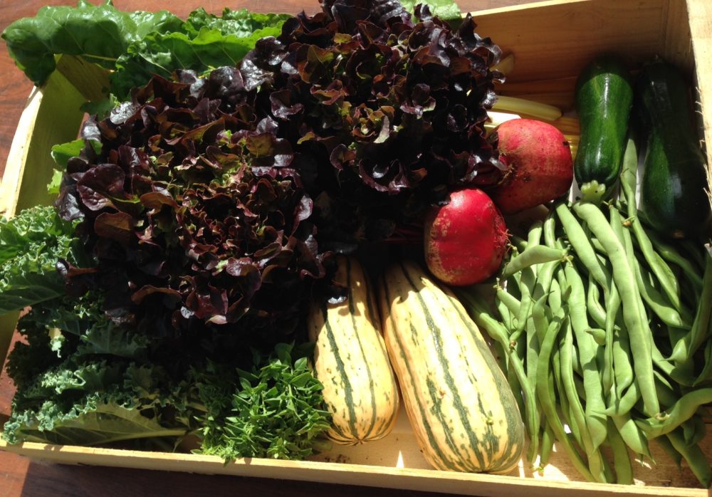 Cagette légumes de saison plein champ permaculture