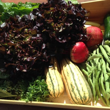 Cagette légumes de saison plein champ permaculture